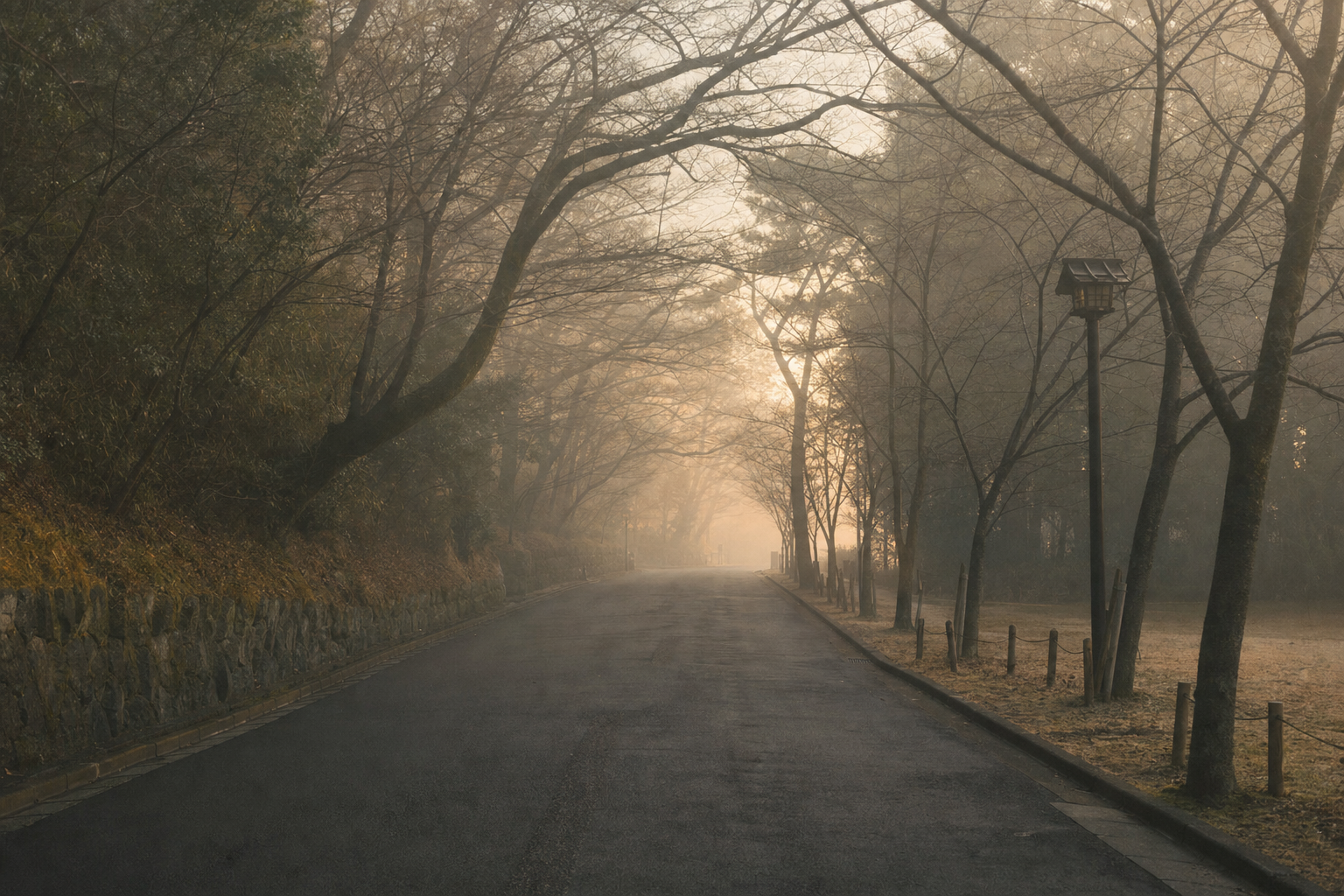 Misted dawn road